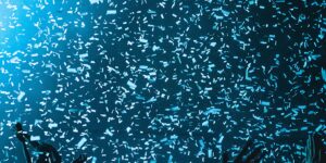 Delight Your Audience: How to Create Content That Excites and Entertains