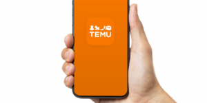 Temu: The Discount Ecommerce Disruptor